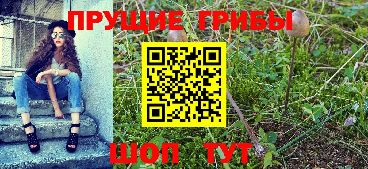 Псилоцибиновые грибы GOLDEN TEACHER  Вход с VPN  Анапа 